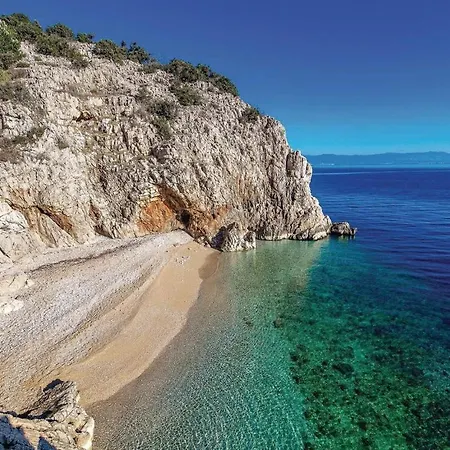 Brestova 아파트 플로민