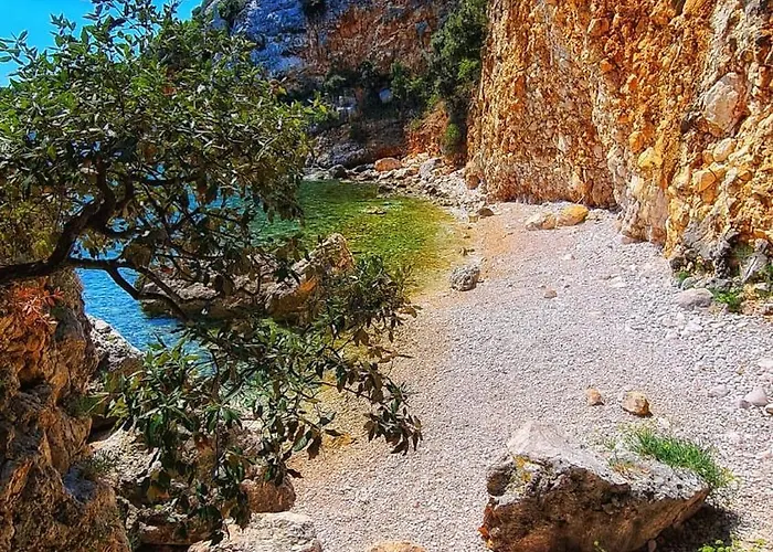 Brestova